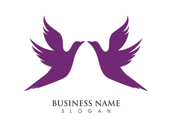 Bird asa pomba logotipo modelo — Vetor de Stock