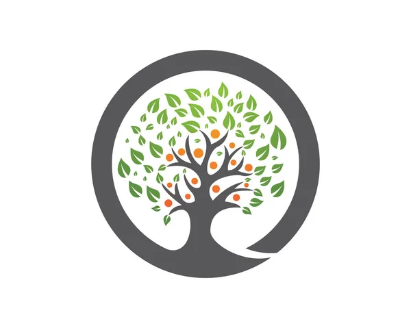 Шаблон дизайну логотипу сімейного дерева — стоковий вектор