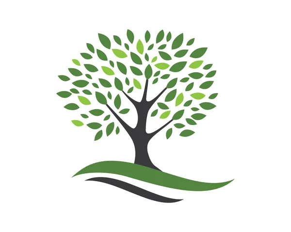 Plantilla de logotipo de hoja de árbol ecológico — Vector de stock