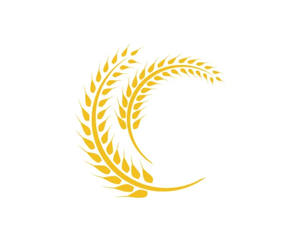 Tarwe logo sjabloon — Stockvector
