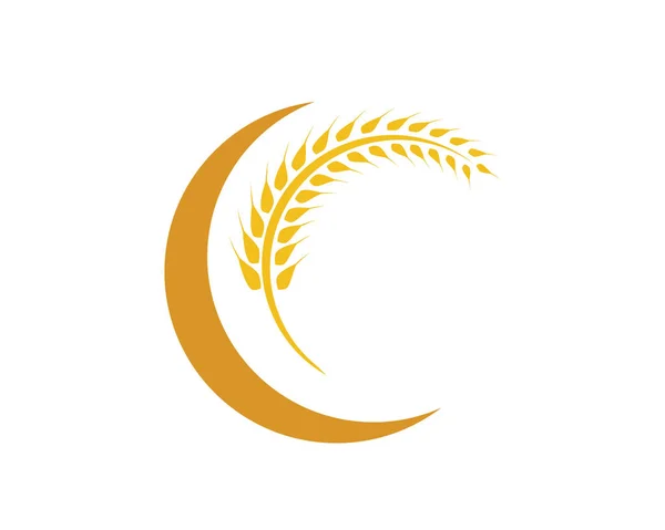 Modelo de logotipo de trigo — Vetor de Stock