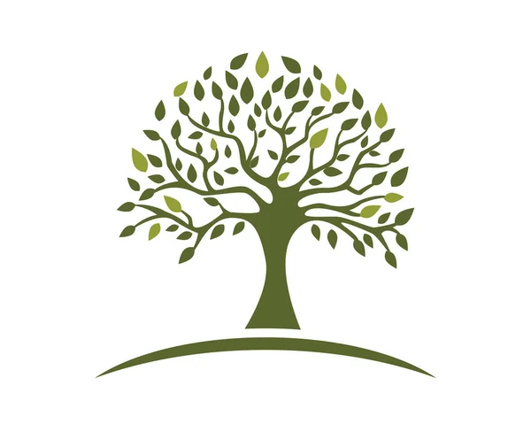 Modèle de logo de feuille d'arbre écologique — Image vectorielle