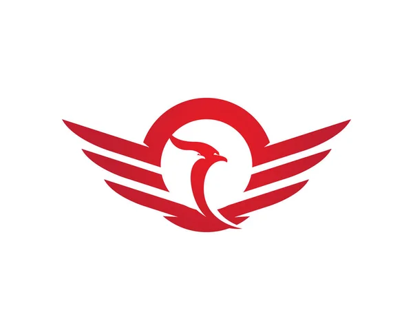 Falcon logotyp mall — Stock vektor