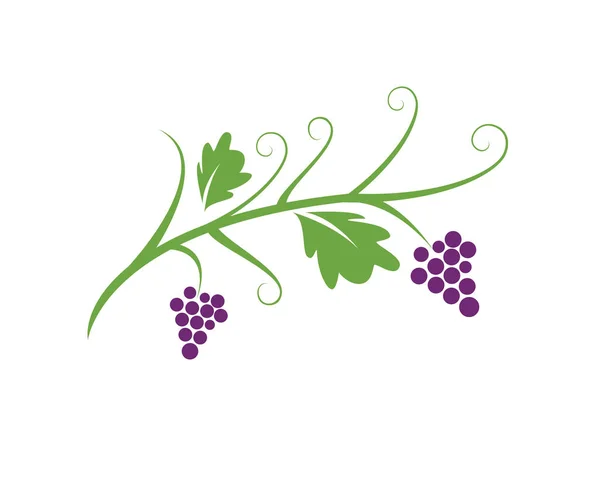 Куча винограда с иконой листа — стоковый вектор