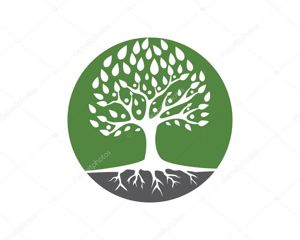 family tree symbol icon logo