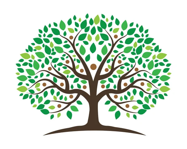 Árvore genealógica modelo de design de logotipo — Vetor de Stock