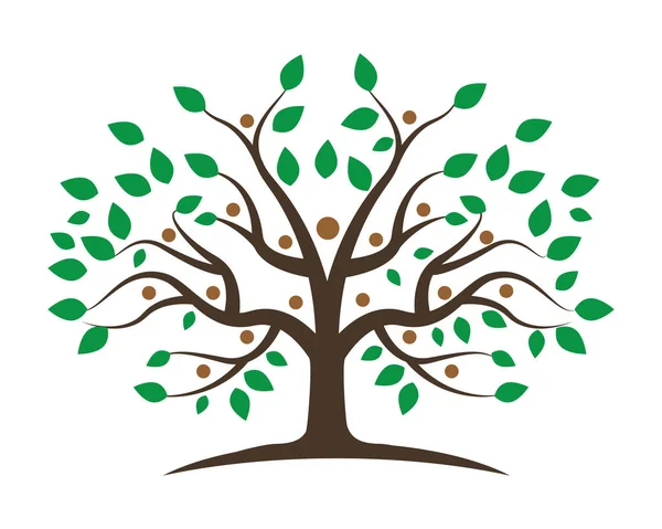 Albero genealogico modello di design logo — Vettoriale Stock