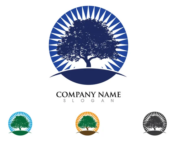 Plantilla de logotipo de hoja de árbol ecológico — Archivo Imágenes Vectoriales