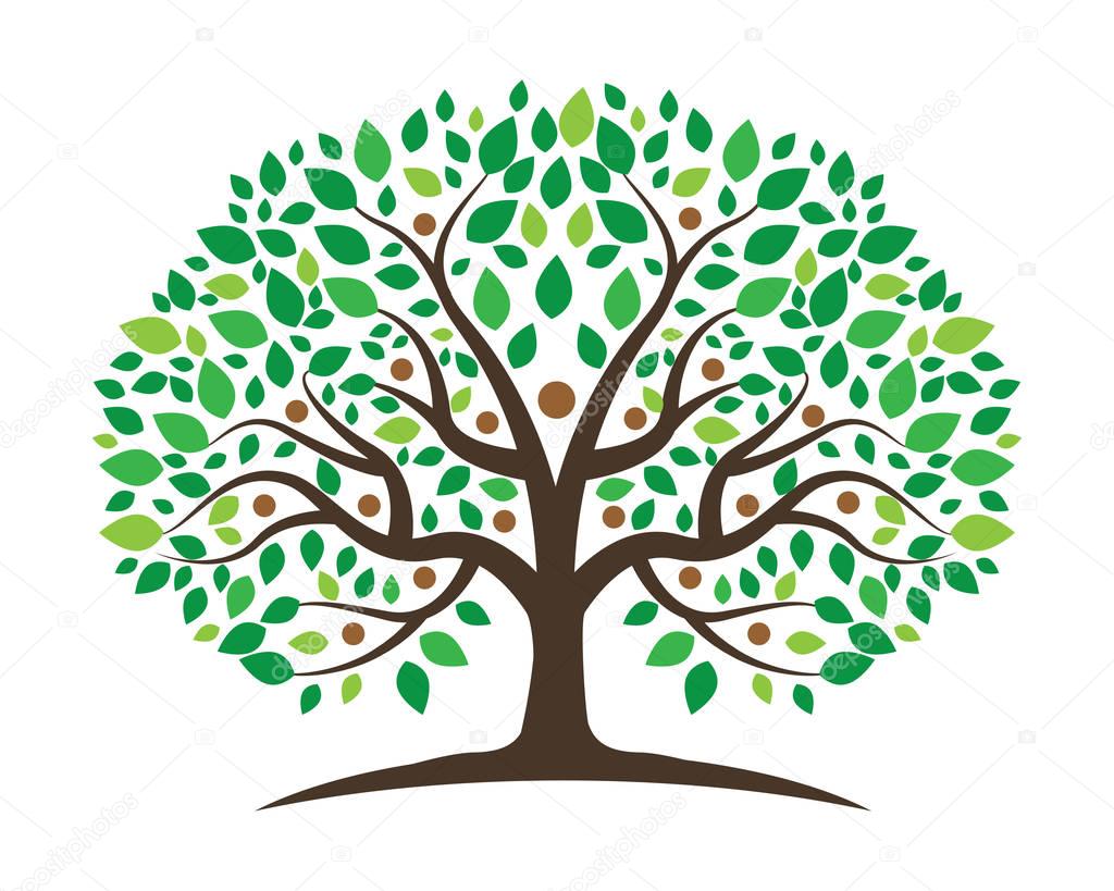 Modèle de conception de logo arbre généalogique — Image vectorielle elaelo © 134814388