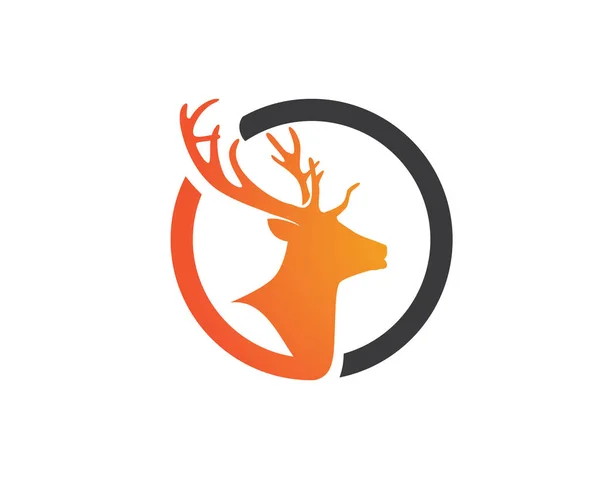 Plantilla de logotipo de ciervo — Archivo Imágenes Vectoriales