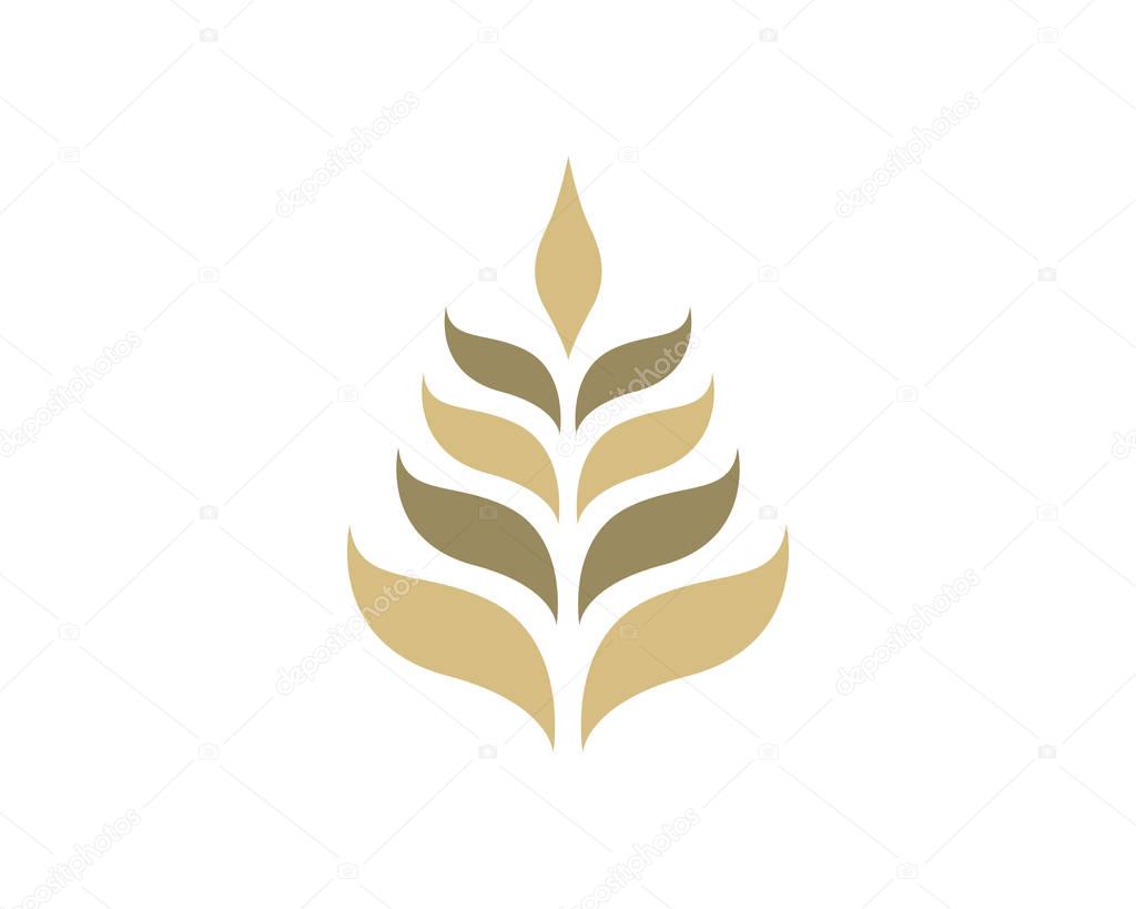 Agriculture wheat Logo Template vector icon design