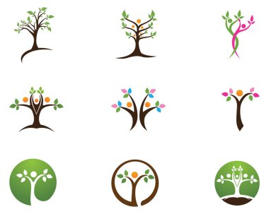 Aile ağacı sembol simge logosu