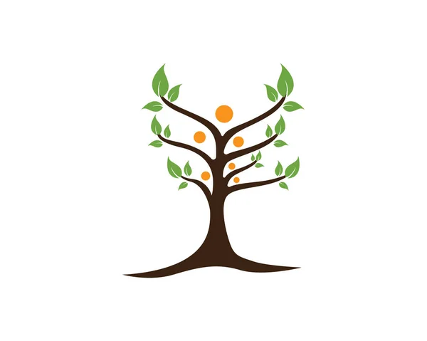 Arbre généalogique symbole icône logo — Image vectorielle