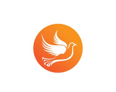 Kuş kanat güvercin Logo şablonu