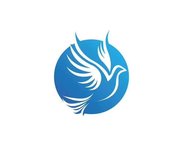 Modello logo colomba ala uccello — Vettoriale Stock
