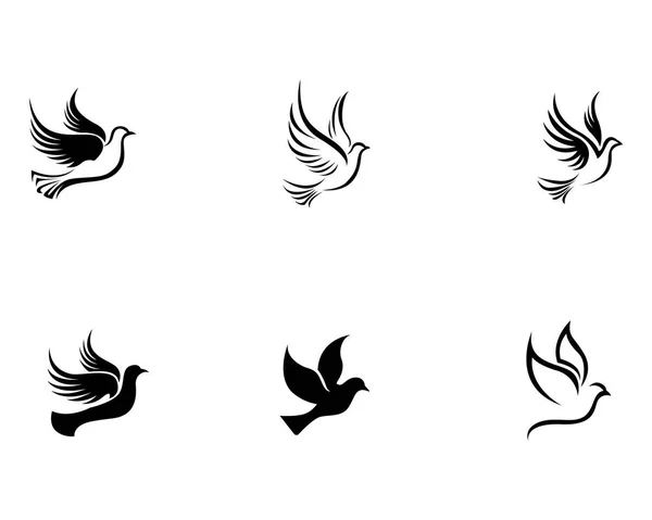 Modèle de logo de colombe d'aile d'oiseau — Image vectorielle