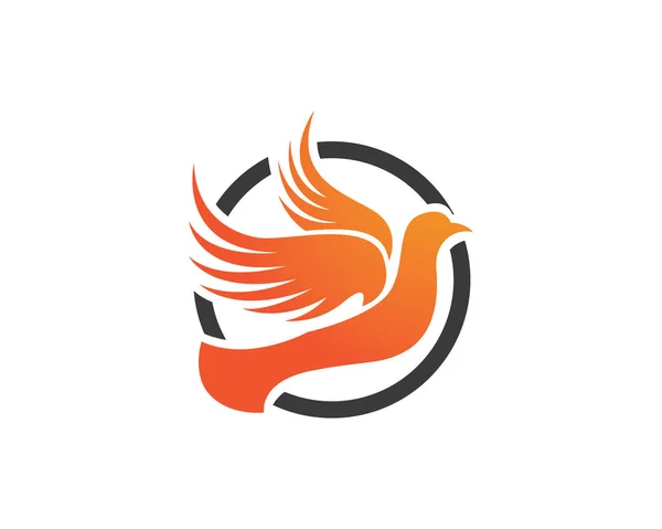 Kuş kanat güvercin Logo şablonu — Stok Vektör