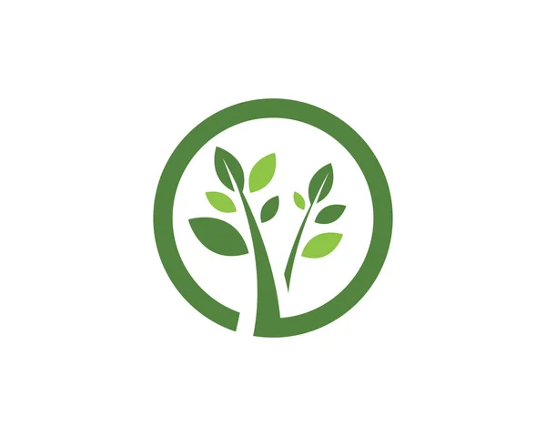 Plantilla de logotipo de hoja de árbol ecológico — Vector de stock