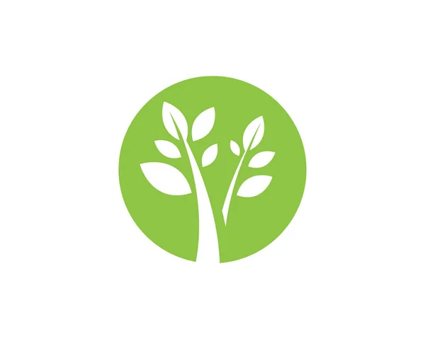 Eco Tree Leaf Logo Sjabloon — Stockvector