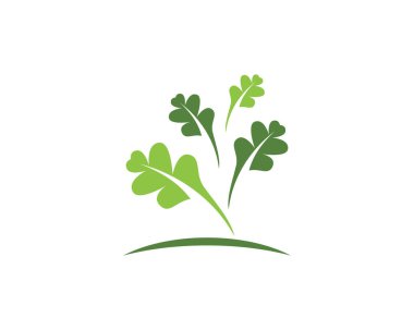 Meşe yaprağı simge vektör tasarım şablonu