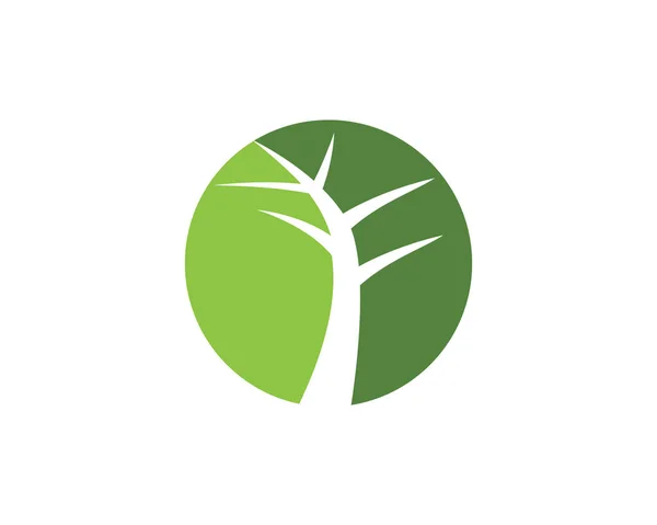 Modello di logo foglia di albero ecologico — Vettoriale Stock