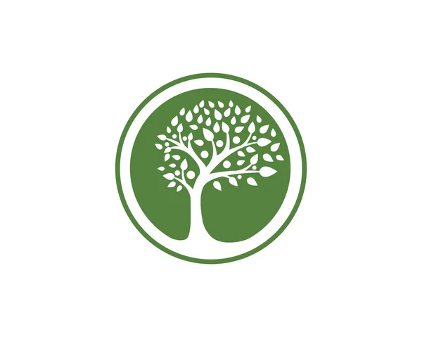 Plantilla de logotipo de hoja de árbol ecológico — Vector de stock