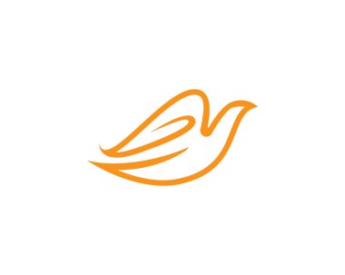 Güvercin kuşu logo ve şablon