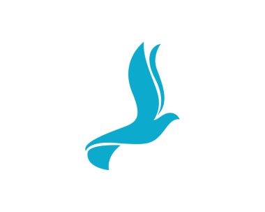 Güvercin kuşu logo ve şablon