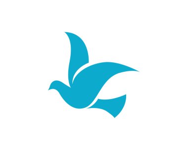 Güvercin kuşu logo ve şablon