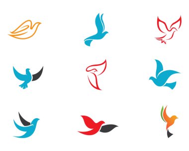 Güvercin kuşu logo ve şablon