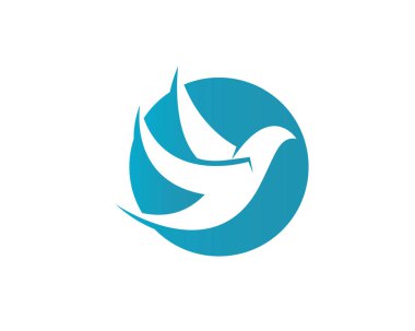 Güvercin kuşu logo ve şablon