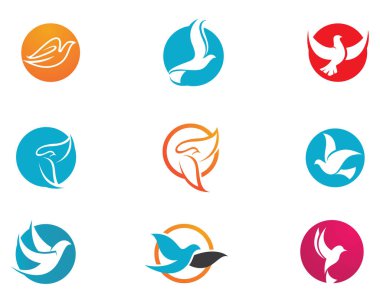 Güvercin kuşu logo ve şablon