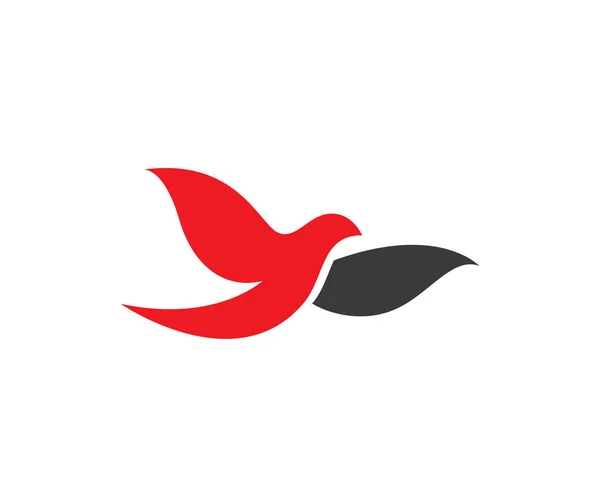 Dove ptak logo i szablonu — Wektor stockowy