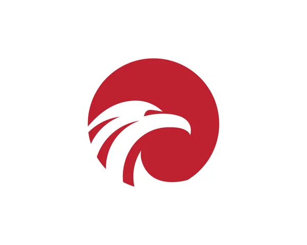 Falcon Logo Template — Stock Vector