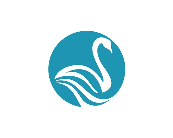 Swan logo i symbole szablonu — Wektor stockowy