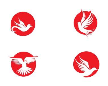 Vektör işareti kuş uçuş soyut