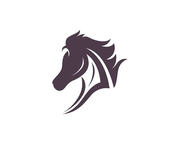 Tête cheval animaux logo et modèle — Image vectorielle