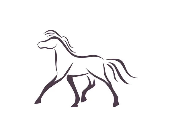 Logo dan templat hewan kuda kepala - Stok Vektor