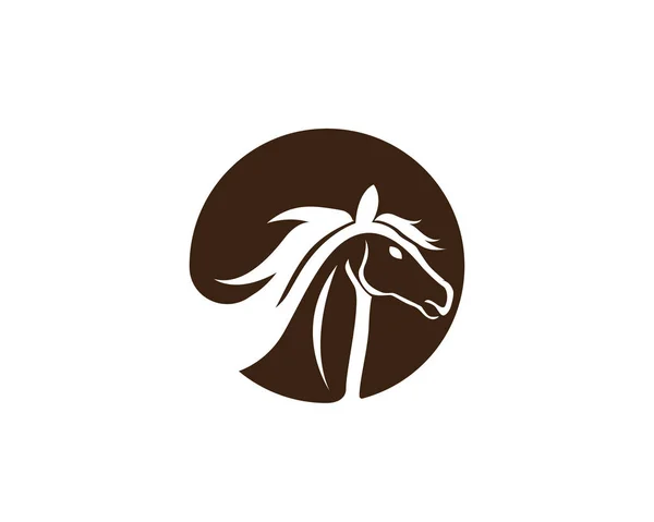 Άλογο λογότυπο πρότυπο διανυσματικά σήματα και σύμβολα — Διανυσματικό Αρχείο