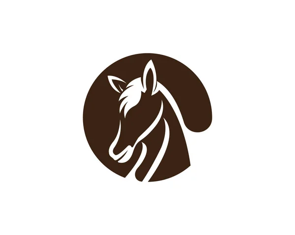 Modèle de logo de cheval Signes et symboles vectoriels — Image vectorielle