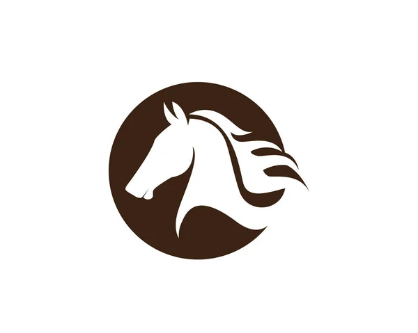 Cavalo logotipo modelo Vetor sinais e símbolos — Vetor de Stock