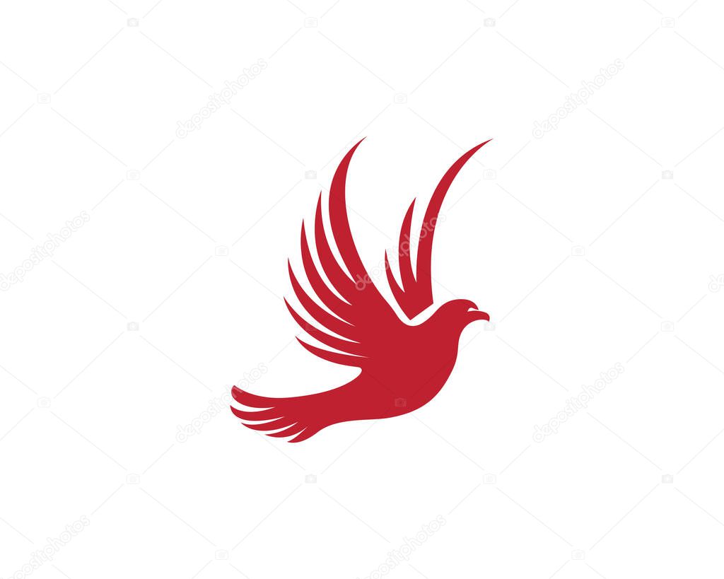 Wing bird logo and template