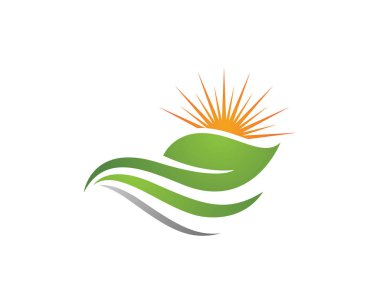 Vektör yaprak yeşil doğa logo ve şablon
