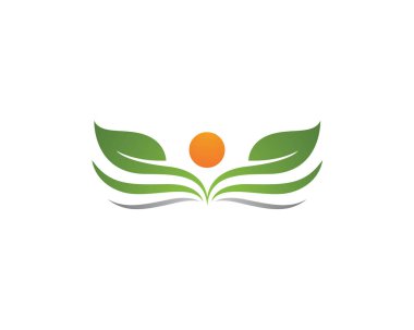 Vektör yaprak yeşil doğa logo ve şablon