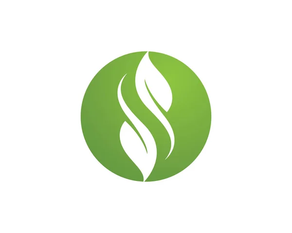 ベクトルの葉緑の自然のロゴとテンプレート — ストックベクタ