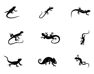 Kertenkele siluet siyah logosu