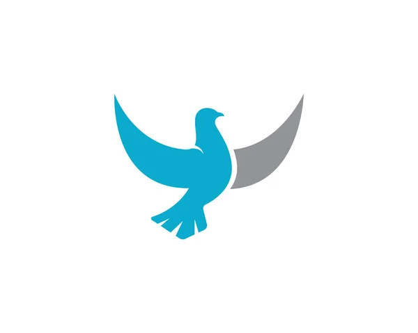 Vogel Taube Logo Vorlage — Stockvektor