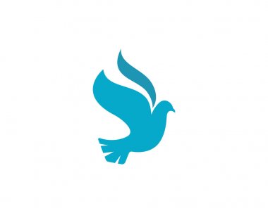  Kuş Güvercini Logo Şablonu