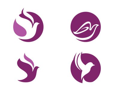  Kuş Güvercini Logo Şablonu