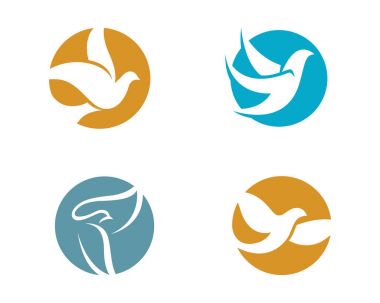 Kuş Güvercini Logo Şablonu